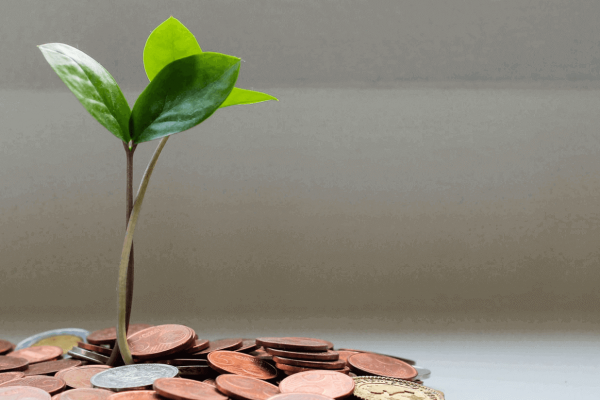 Purple Legal Limited